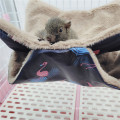 Pet Bird Hamster Hammock Nest Bed House Toys
